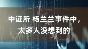 中证所 杨兰兰事件中，太多人没想到的
