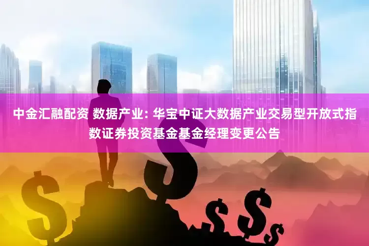中金汇融配资 数据产业: 华宝中证大数据产业交易型开放式指数证券投资基金基金经理变更公告