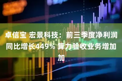 卓信宝 宏景科技：前三季度净利润同比增长449% 算力验收业务增加