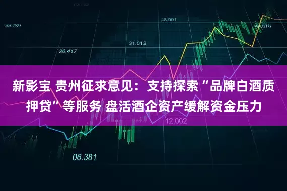 新影宝 贵州征求意见：支持探索“品牌白酒质押贷”等服务 盘活酒企资产缓解资金压力